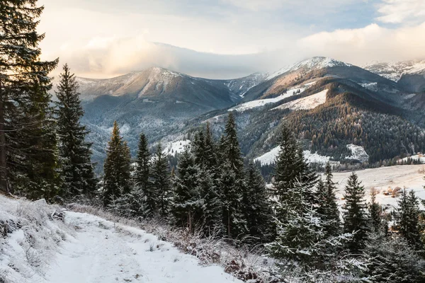 Piękny zimowy krajobraz w górach — Zdjęcie stockowe