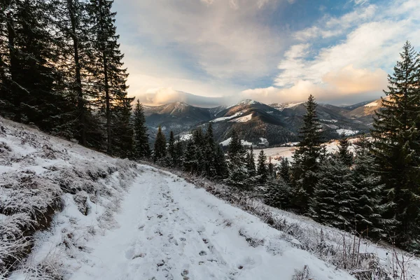 Beau paysage hivernal dans les montagnes — Photo