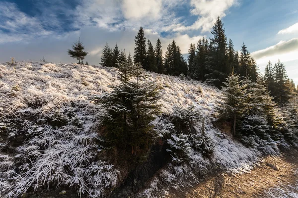 Krásná zimní krajina v horách — Stock fotografie