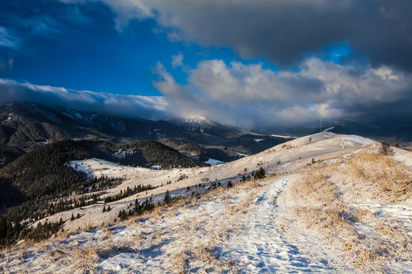 Hermoso paisaje de invierno en las montañas — Foto de Stock