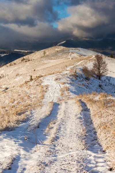 Bellissimo paesaggio invernale in montagna — Foto Stock