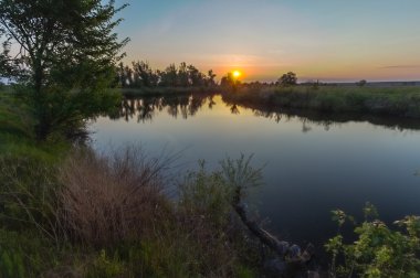 Gündoğumu ışınları kıyıda ağaçta yansıması