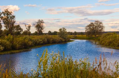 Bahar ormanında gün batımı