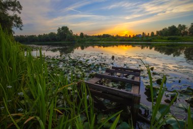Bahar ormanında gün batımı