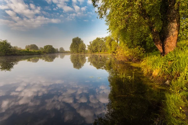 Reflejo de árboles en la orilla al amanecer rayos — Foto de Stock