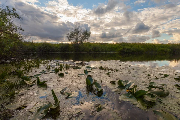 Nuages se reflétant dans le lac, Ukraine . — Photo