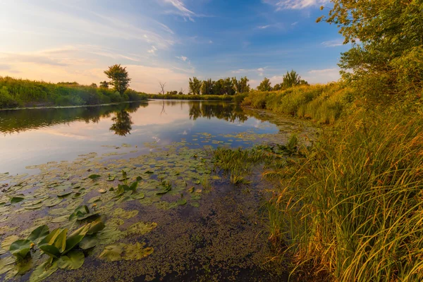 Lesní jezero — Stock fotografie