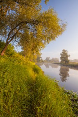 Güzel yaz su manzara içinde güneş