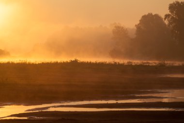 Manzara, güneşli şafak, sisli gün ışığı