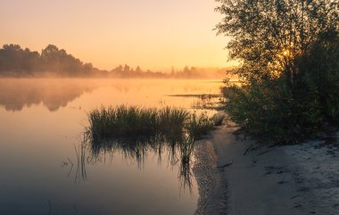 Manzara, güneşli şafak, sisli gün ışığı