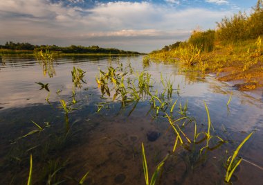 Güzel yaz su manzara içinde güneş