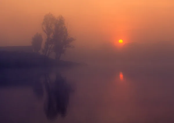 Paysage, aube ensoleillée, rayons du soleil dans le brouillard — Photo