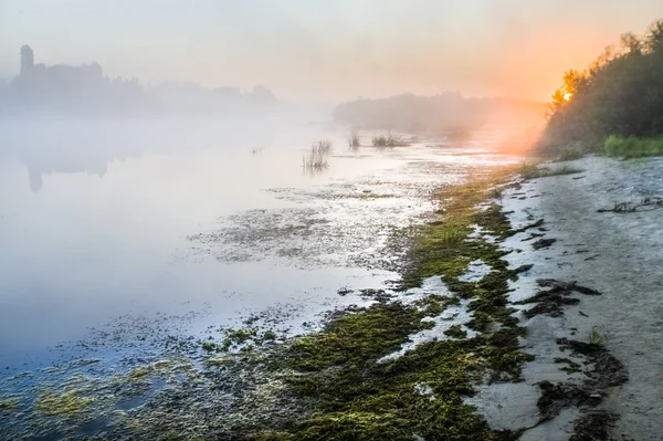 Paisaje, amanecer soleado, rayos de sol en la niebla —  Fotos de Stock