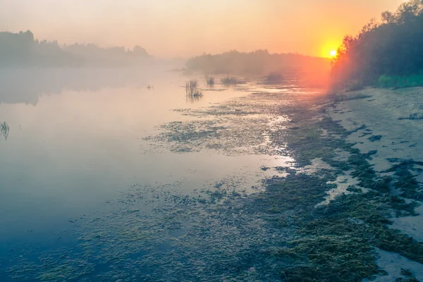 Landschap, zonsopgang, zonnestralen in de mist — Stockfoto