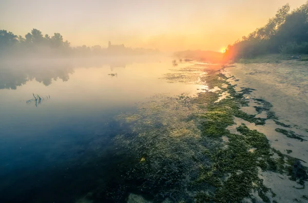 Landscape, sunny dawn, sunrays in fog — Stock Photo, Image