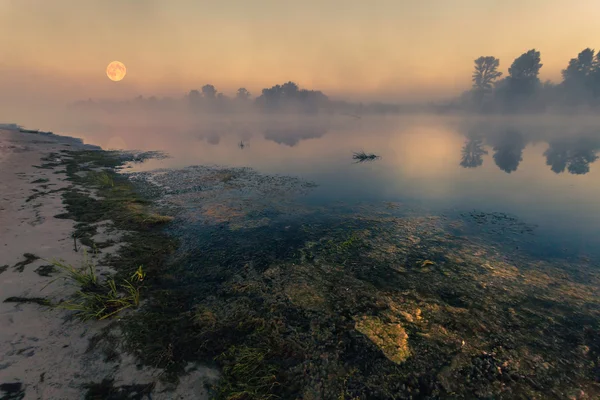 Пейзаж, солнечный рассвет, солнечные лучи в тумане — стоковое фото