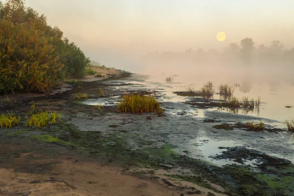 Луна отражается в озере на болоте туманным утром — стоковое фото