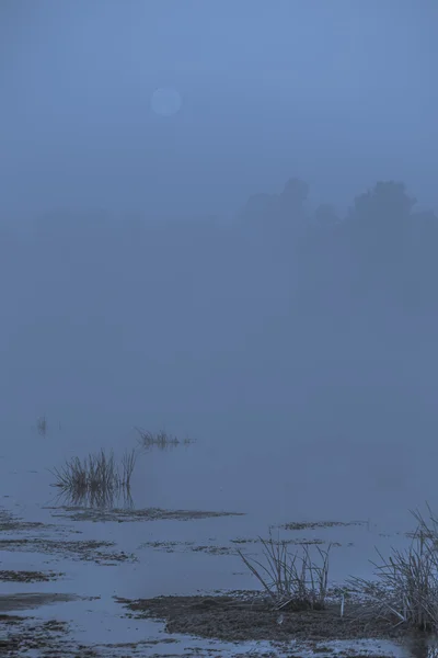 Luna reflejada en un lago en un páramo en una mañana brumosa —  Fotos de Stock