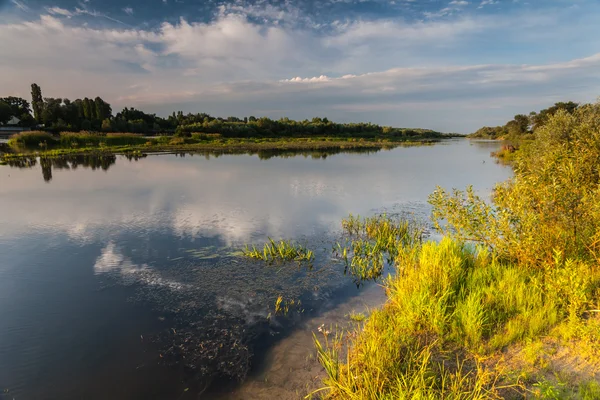 Hermoso paisaje de agua de verano en rayo de sol —  Fotos de Stock