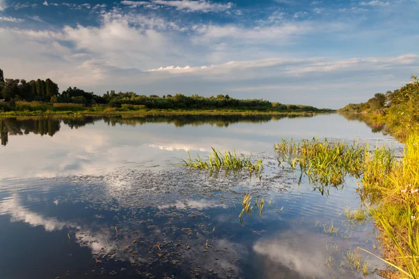 Bellissimo paesaggio acquatico estivo in raggio di sole — Foto Stock