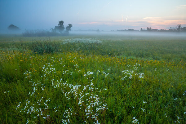 Moon reflected in a lake on a moor on a misty morning