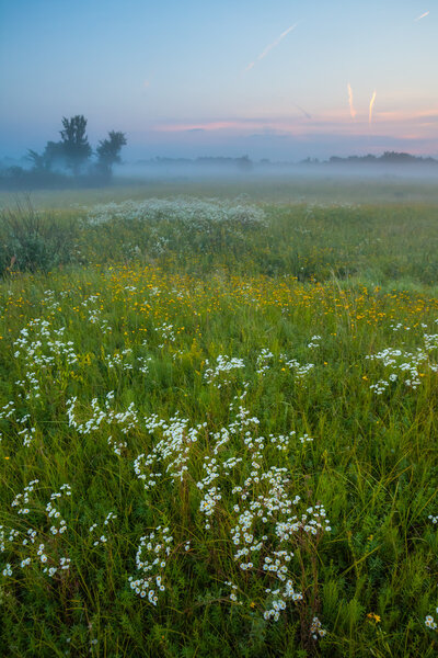 Moon reflected in a lake on a moor on a misty morning