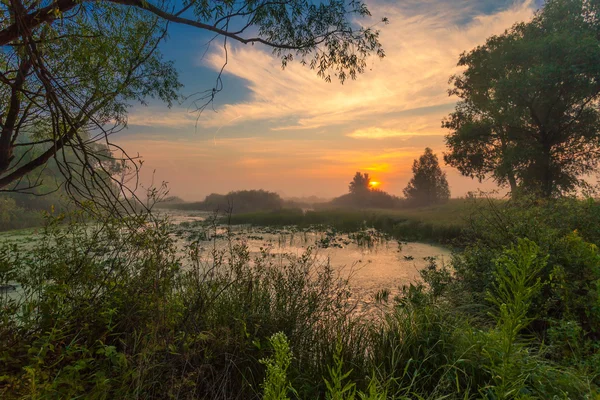 Paisagem, amanhecer ensolarado, raios de sol no nevoeiro — Fotografia de Stock