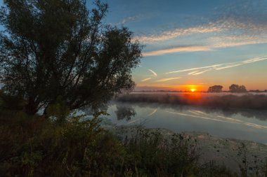 Sabah güneş ağacı içinde filtreleme demeti
