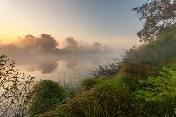 Groene park — Stockfoto