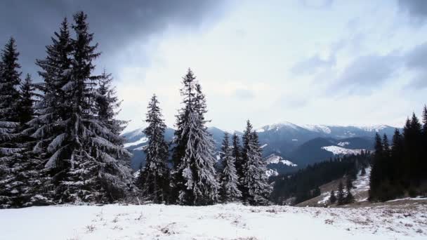 Bella alba invernale in montagna — Video Stock