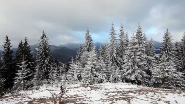 Belo nascer do sol de inverno nas montanhas — Vídeo de Stock