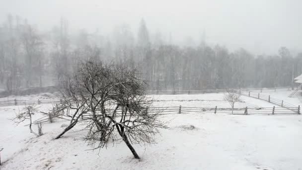 Belo nascer do sol de inverno nas montanhas — Vídeo de Stock