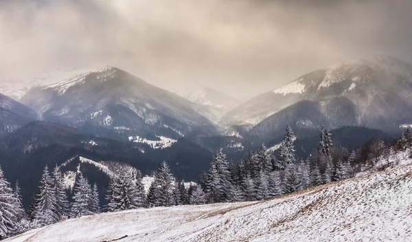 Coucher de soleil dans les montagnes d'hiver avec une lumière dramatique — Photo