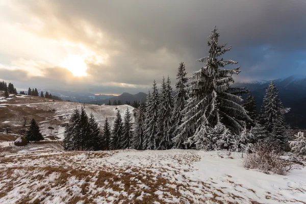 Prachtig winterlandschap met besneeuwde bomen — Stockfoto