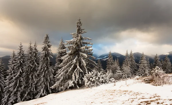 Wunderschöne Winterlandschaft mit schneebedeckten Bäumen — Stockfoto