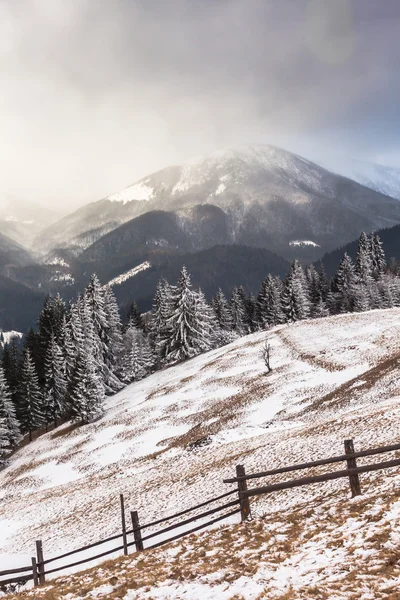 Beautiful winter landscape with snow covered trees — Stock Photo, Image