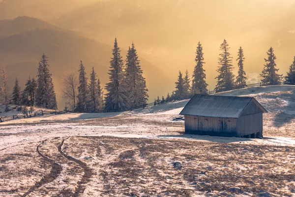 Casa en bosque de invierno — Foto de Stock