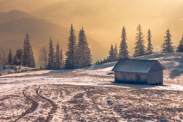 House in winter forest — Stock Photo, Image