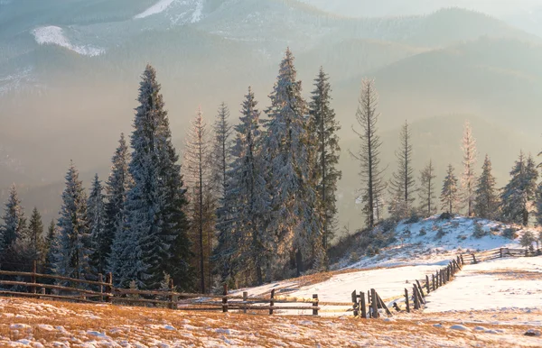 Majestätisk vinter landskap Glödande av solljus. — Stockfoto