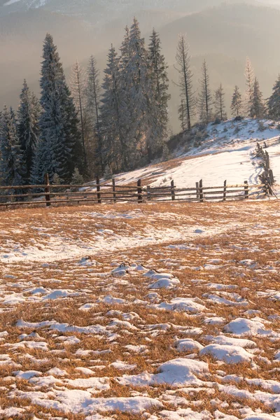 Majestuoso paisaje de invierno resplandeciente por la luz del sol . — Foto de Stock