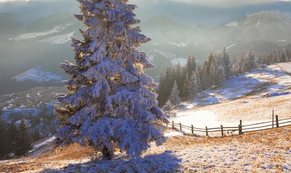 Majestuoso paisaje de invierno resplandeciente por la luz del sol . — Foto de Stock