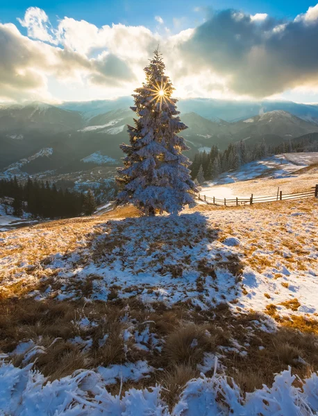 Majestätische Winterlandschaft im Sonnenlicht. — Stockfoto