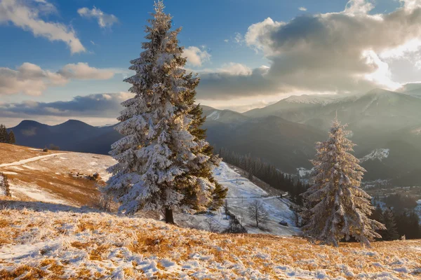 美丽的冬季风景，冰雪覆盖的树木 — 图库照片