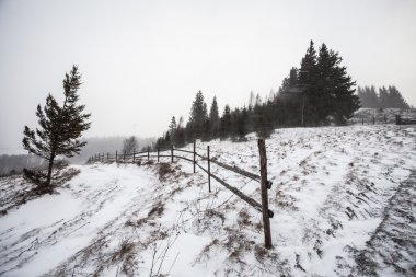 Kar fırtınası Rocky Dağları Temizleme