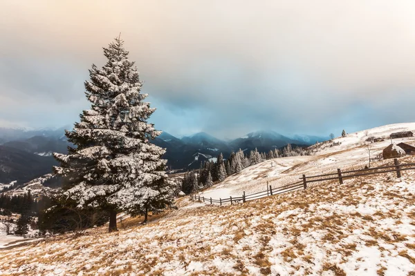 Wintersneeuw bedekt bergtoppen in Europa — Stockfoto