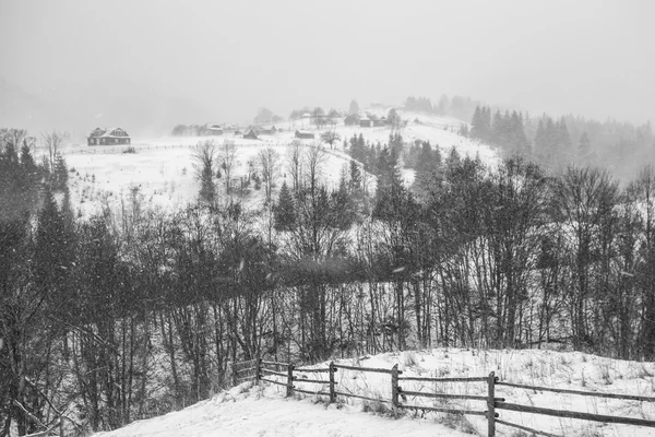 Vymazání sněhová bouře v Rocky Mountains — Stock fotografie