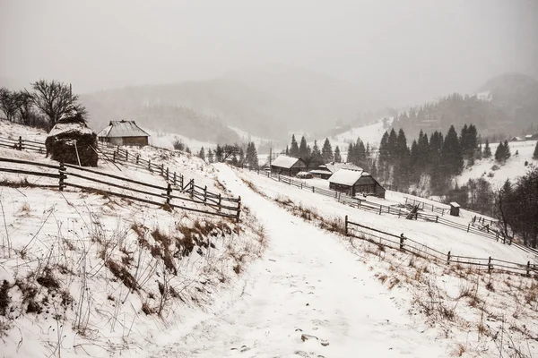 Vymazání sněhová bouře v Rocky Mountains — Stock fotografie