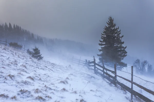 ロッキー山脈の雪嵐をクリア — ストック写真