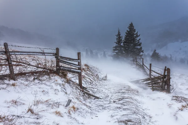 Limpiando la tormenta de nieve en las montañas rocosas — Foto de Stock