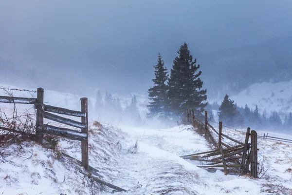 Déneigement Tempête dans les montagnes Rocheuses — Photo